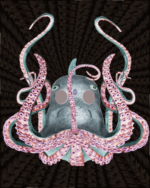 Image of a mature octo, portraying the 8 tentacle arms, bellan, two large acoustic eyes, two small ears, and two infrared eyes